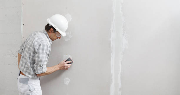 Reliable Butler Beach, FL Mold Removal Solutions